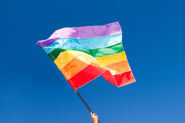 6 Ways to Celebrate Pride and LGBT Holidays During Quarantine