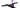 Choosing Strap-On Compatible Dildos for Couples