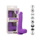 Cal_Exotics_Studs_Gyrating_Thrusting_7in_Dildo_Box_Front