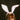 Leg_Avenue_Bendable_Velvet_Bunny_Ears_White_Lifestyle