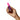 Romp_Lipstick_Air_Pulsator_Size