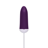 Lovers_Just_The_Tip_Vibrator_Kit_Charger