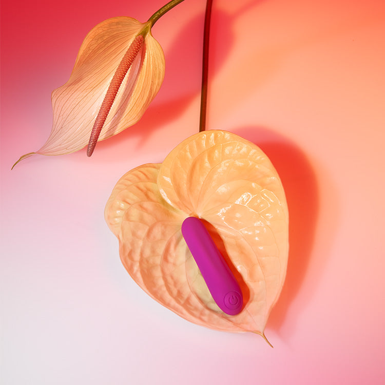 Playboy Bullet Vibrator by Playboy Pleasure Lovers Playboy Bullet Vibrator by Playboy Pleasure Lovers
